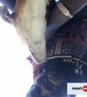 Alladin jatta, Brikama, , Gambia